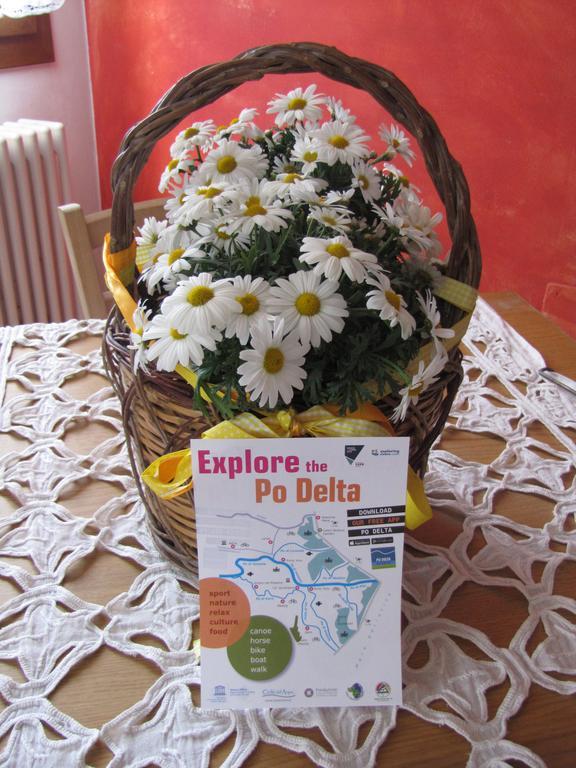 B&B La Zanzara Adria Extérieur photo